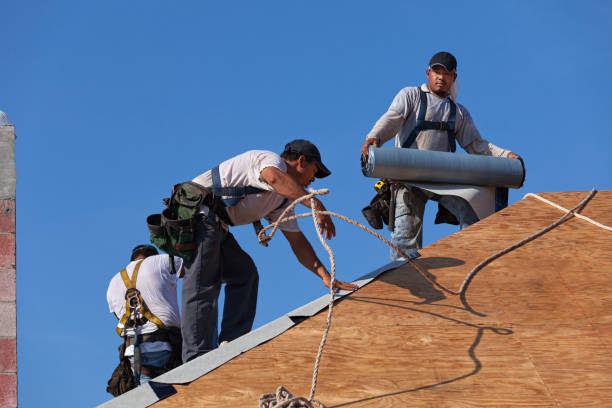Best Roof Maintenance Services  in Birchwood Lakes, PA